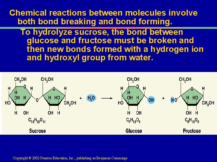 Chemical reactions between molecules involve both bond breaking and bond forming. To hydrolyze sucrose,