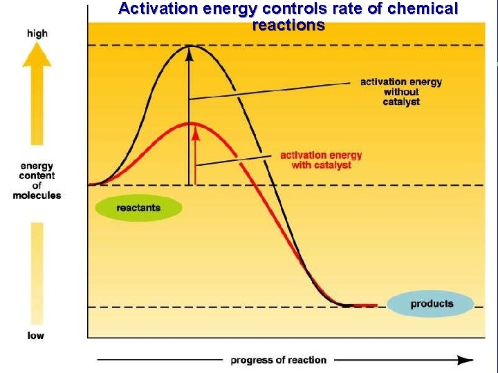 Activation energy controls rate of chemical reactions 