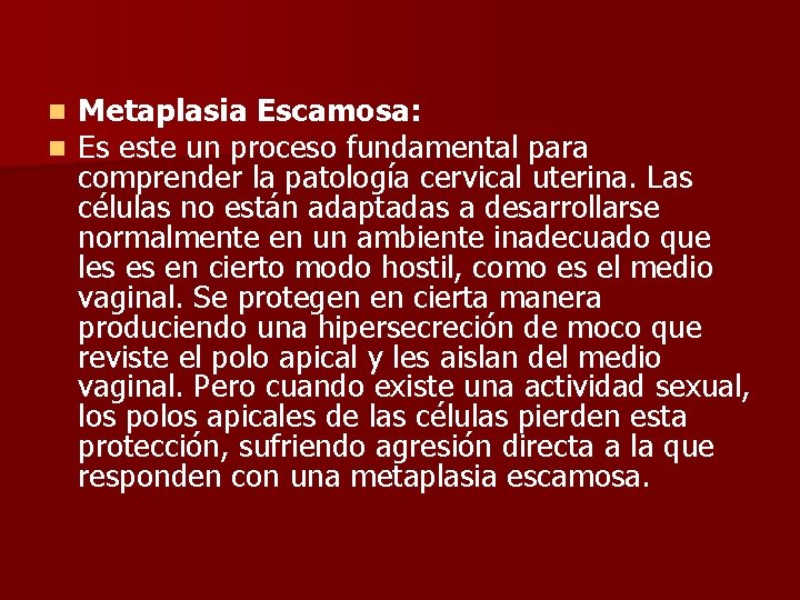 n n Metaplasia Escamosa: Es este un proceso fundamental para comprender la patología cervical