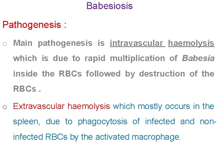 Babesiosis Pathogenesis : o Main pathogenesis is intravascular haemolysis which is due to rapid