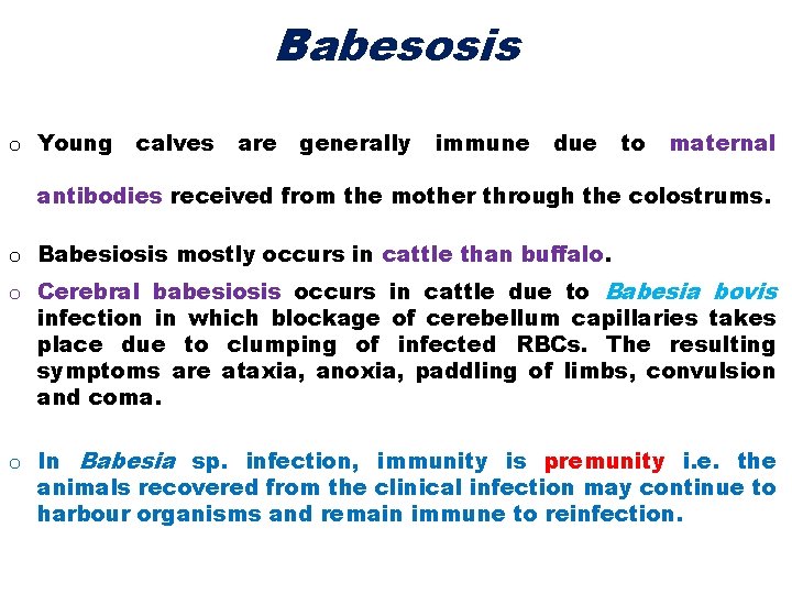 Babesosis o Young calves are generally immune due to maternal antibodies received from the