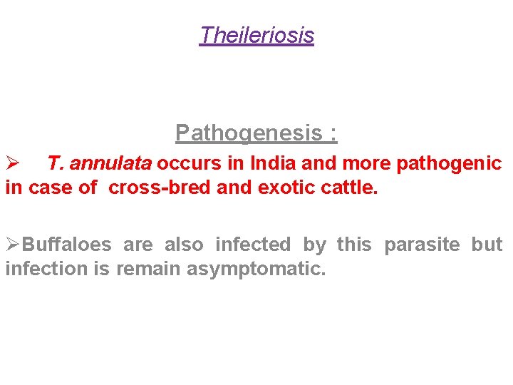 Theileriosis Pathogenesis : Ø T. annulata occurs in India and more pathogenic in case