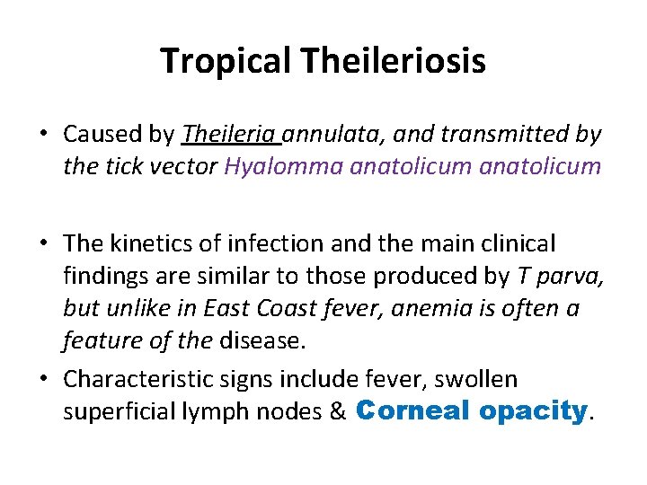 Tropical Theileriosis • Caused by Theileria annulata, and transmitted by the tick vector Hyalomma