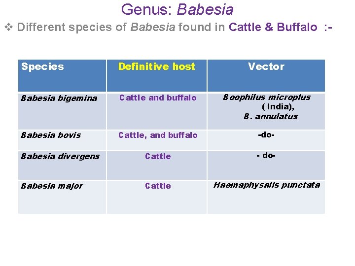 Genus: Babesia v Different species of Babesia found in Cattle & Buffalo : Species