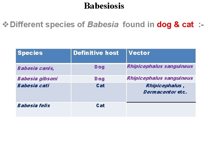 Babesiosis v Different species of Babesia found in dog & cat : Species Definitive