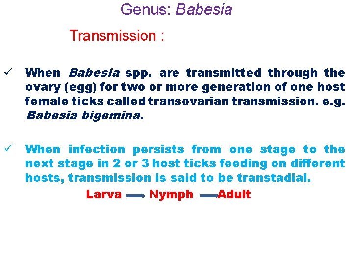 Genus: Babesia Transmission : ü When Babesia spp. are transmitted through the ovary (egg)