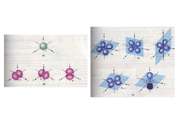 Balloon pictures of orbitals The shape of the orbital is determined by the l