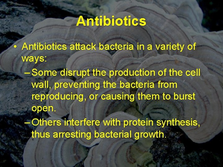 Antibiotics • Antibiotics attack bacteria in a variety of ways: – Some disrupt the