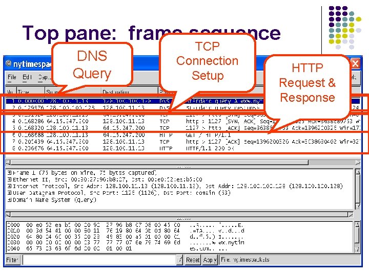 Top pane: frame sequence DNS Query TCP Connection Setup HTTP Request & Response 