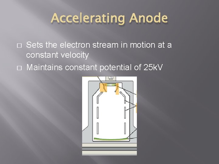 Accelerating Anode � � Sets the electron stream in motion at a constant velocity