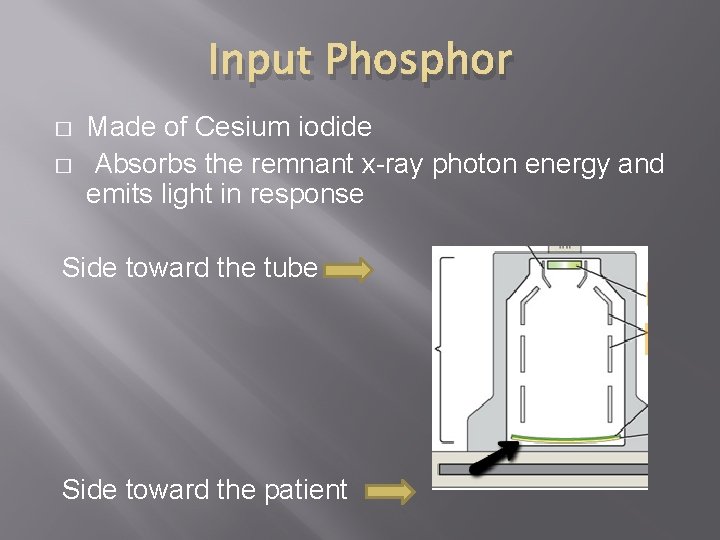 Input Phosphor � � Made of Cesium iodide Absorbs the remnant x-ray photon energy