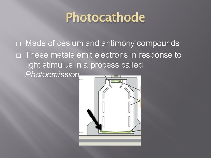 Photocathode � � Made of cesium and antimony compounds These metals emit electrons in