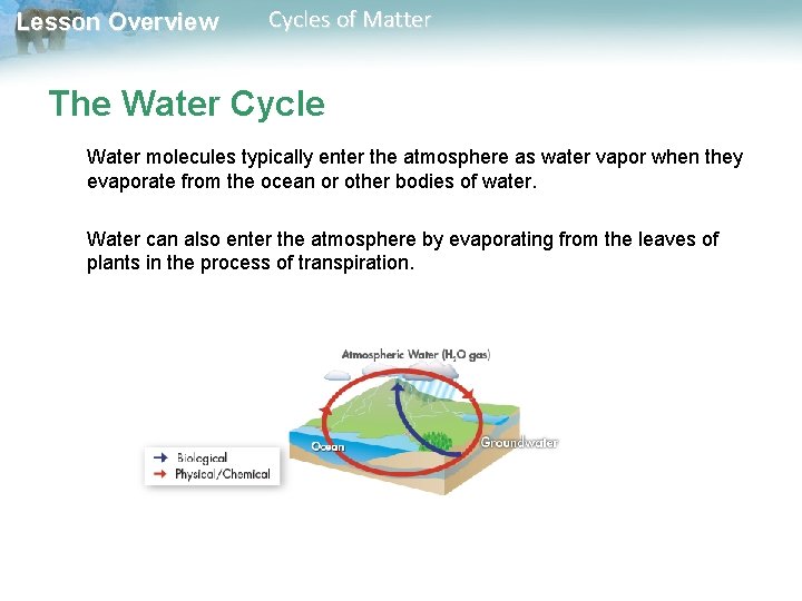 Lesson Overview Cycles of Matter The Water Cycle Water molecules typically enter the atmosphere