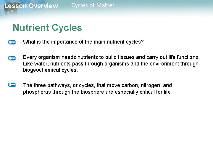 Lesson Overview Cycles of Matter Nutrient Cycles What is the importance of the main