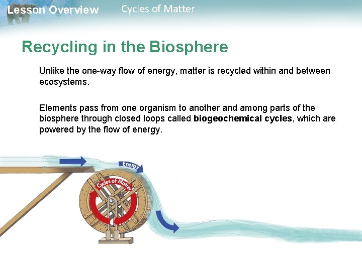 Lesson Overview Cycles of Matter Recycling in the Biosphere Unlike the one-way flow of