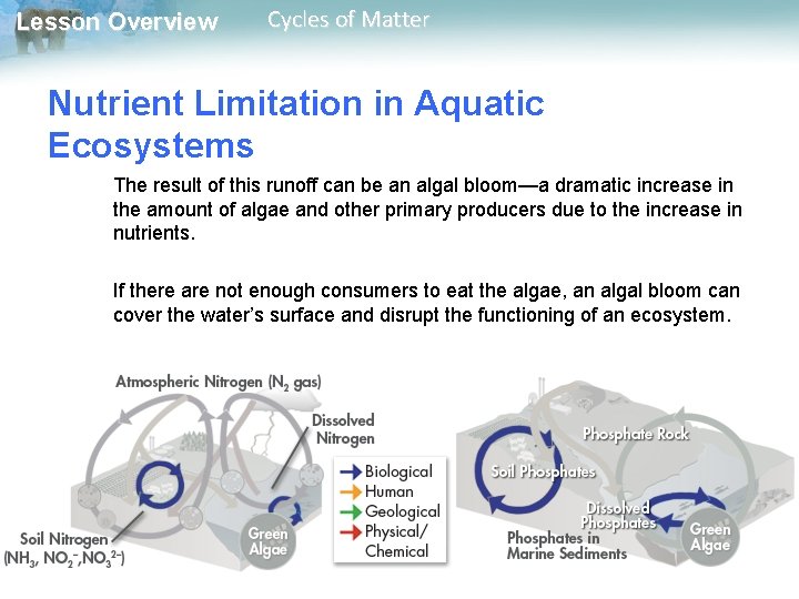 Lesson Overview Cycles of Matter Nutrient Limitation in Aquatic Ecosystems The result of this