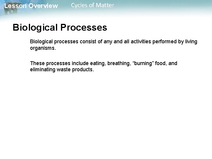Lesson Overview Cycles of Matter Biological Processes Biological processes consist of any and all