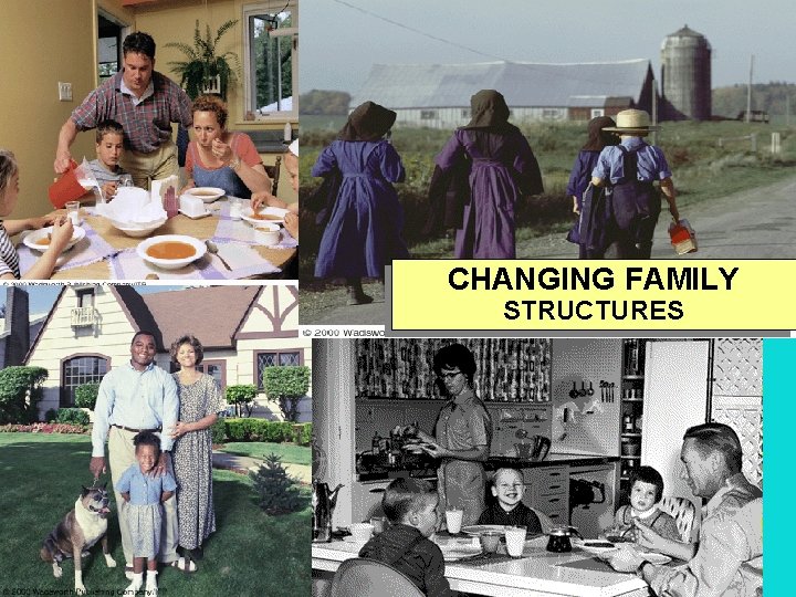 Sociology In Our Times Diana Kendall Chapter 5