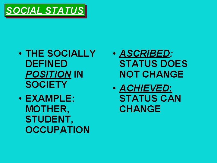 Sociology In Our Times Diana Kendall Chapter 5