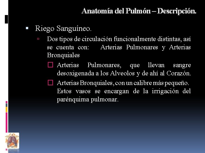 Anatomía del Pulmón – Descripción. Riego Sanguíneo. Dos tipos de circulación funcionalmente distintas, así