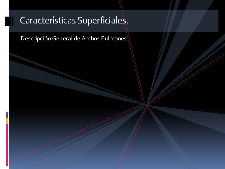 Características Superficiales. Descripción General de Ambos Pulmones. 
