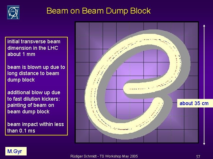 Beam on Beam Dump Block initial transverse beam dimension in the LHC about 1