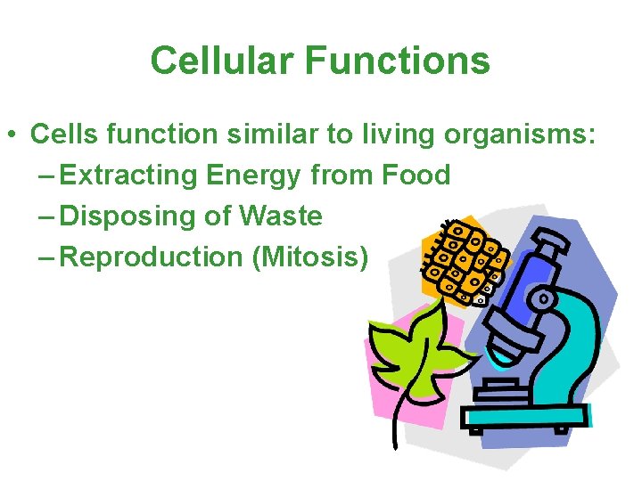 Cellular Functions • Cells function similar to living organisms: – Extracting Energy from Food Cellular Functions • Cells function similar to living organisms: – Extracting Energy from Food