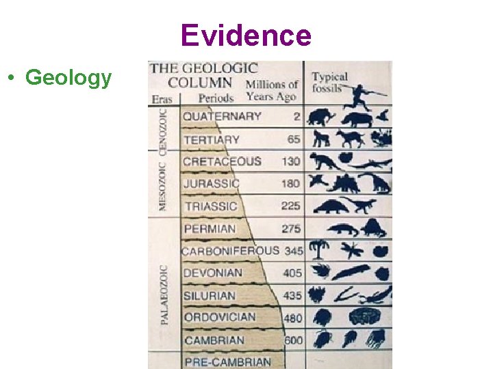 Evidence • Geology Evidence • Geology