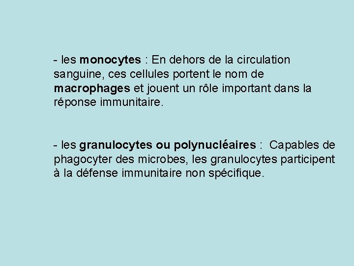 - les monocytes : En dehors de la circulation sanguine, ces cellules portent le