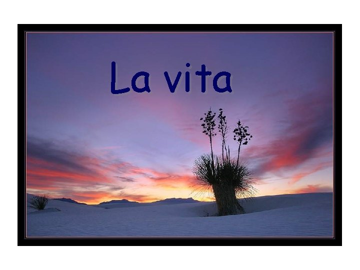 La vita 