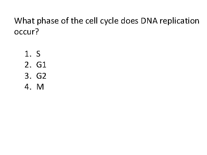 What phase of the cell cycle does DNA replication occur? 1. 2. 3. 4.