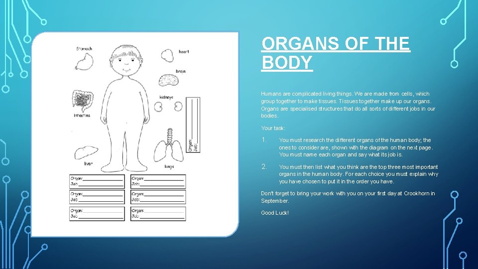 ORGANS OF THE BODY Humans are complicated living things. We are made from cells,
