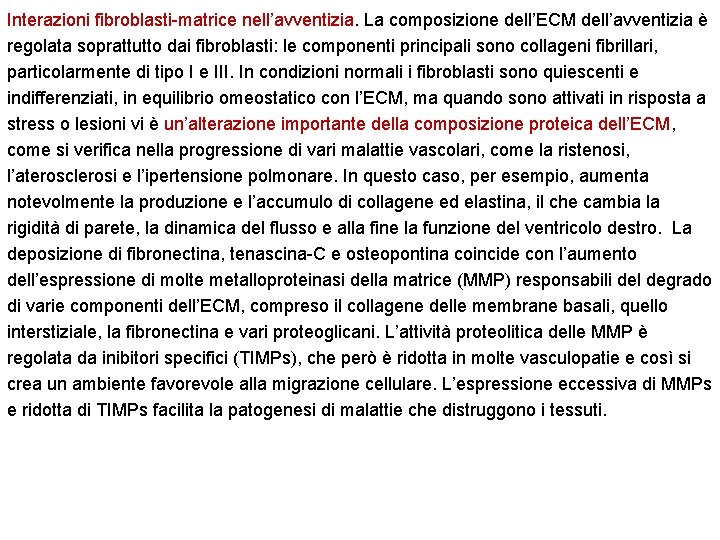 Interazioni fibroblasti-matrice nell’avventizia. La composizione dell’ECM dell’avventizia è regolata soprattutto dai fibroblasti: le componenti