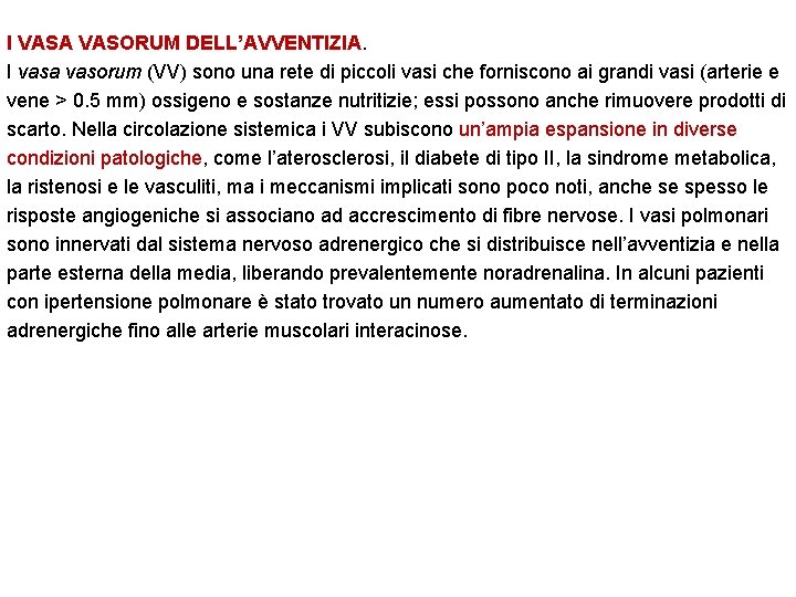 I VASA VASORUM DELL’AVVENTIZIA. I vasa vasorum (VV) sono una rete di piccoli vasi