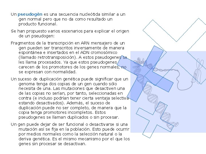 Un pseudogén es una secuencia nucleótida similar a un gen normal pero que no