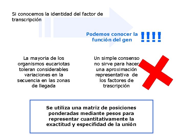 Si conocemos la identidad del factor de transcripción Podemos conocer la función del gen