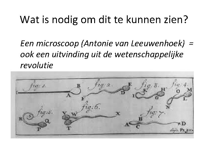 Wat is nodig om dit te kunnen zien? Een microscoop (Antonie van Leeuwenhoek) =