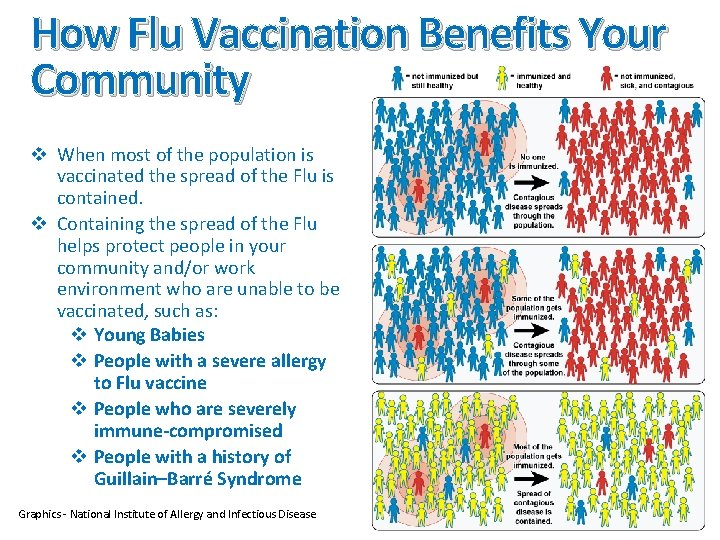 How Flu Vaccination Benefits Your Community v When most of the population is vaccinated