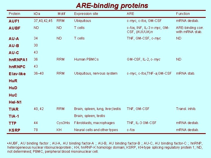 ARE-binding proteins Protein k. Da Motif Expression site ARE Function AUF 1 37, 40,