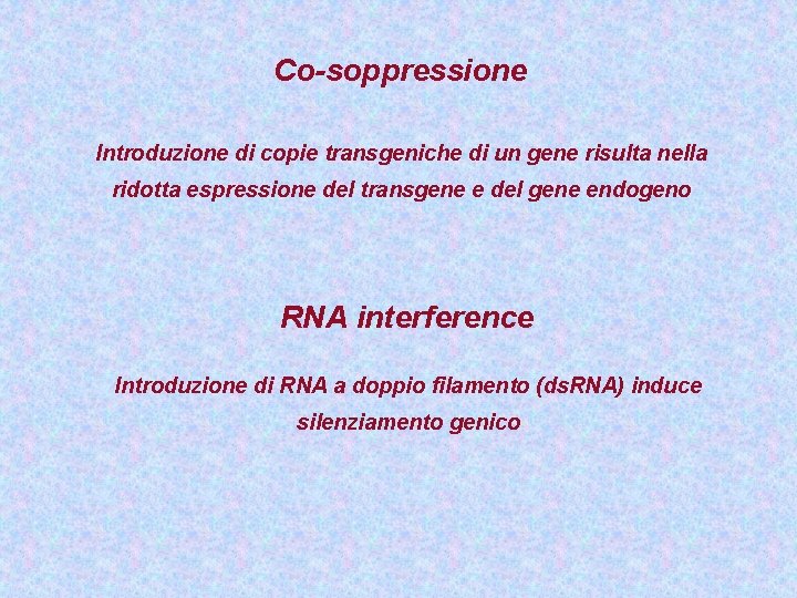 Co-soppressione Introduzione di copie transgeniche di un gene risulta nella ridotta espressione del transgene