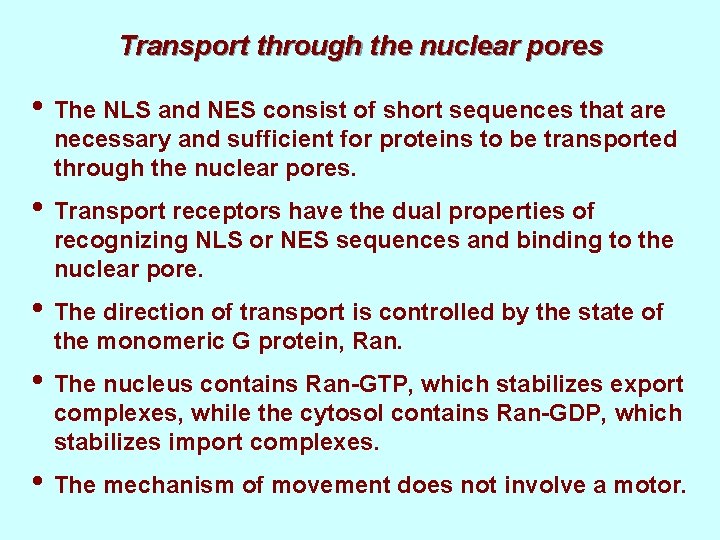 Transport through the nuclear pores • The NLS and NES consist of short sequences