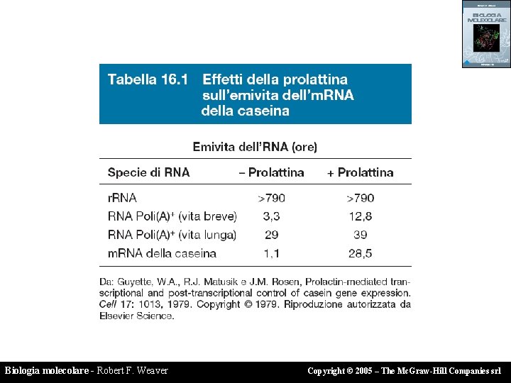 Biologia molecolare - Robert F. Weaver Copyright © 2005 – The Mc. Graw-Hill Companies