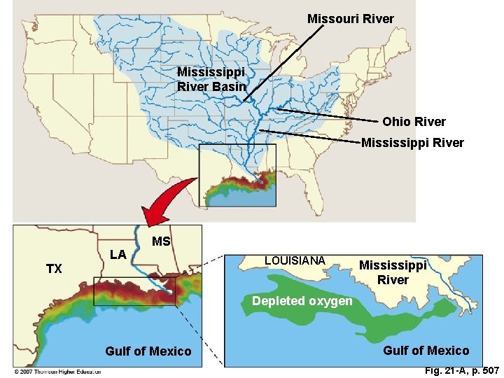 Missouri River Mississippi River Basin Ohio River Mississippi River LA MS TX LOUISIANA Mississippi