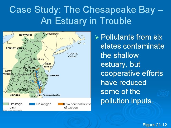 Case Study: The Chesapeake Bay – An Estuary in Trouble Ø Pollutants from six