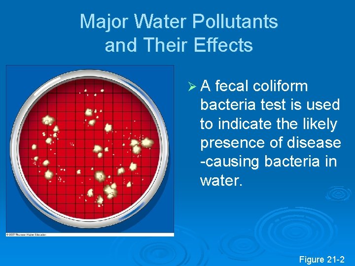 Major Water Pollutants and Their Effects Ø A fecal coliform bacteria test is used