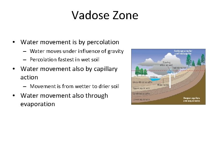 Vadose Zone • Water movement is by percolation – Water moves under influence of