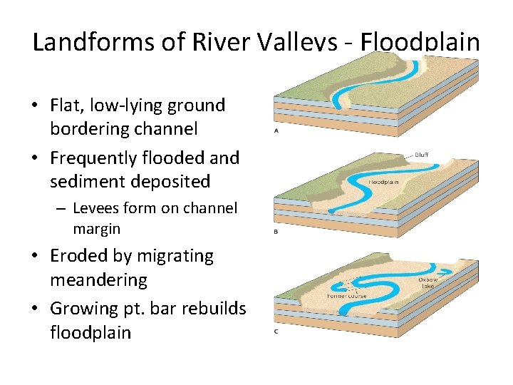 Landforms of River Valleys - Floodplain • Flat, low-lying ground bordering channel • Frequently