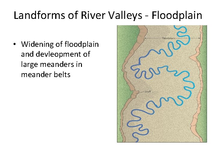 Landforms of River Valleys - Floodplain • Widening of floodplain and devleopment of large