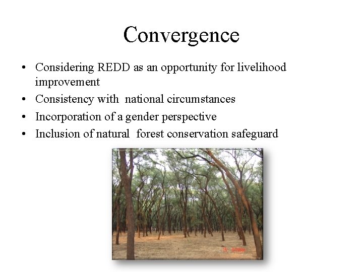 Convergence • Considering REDD as an opportunity for livelihood improvement • Consistency with national