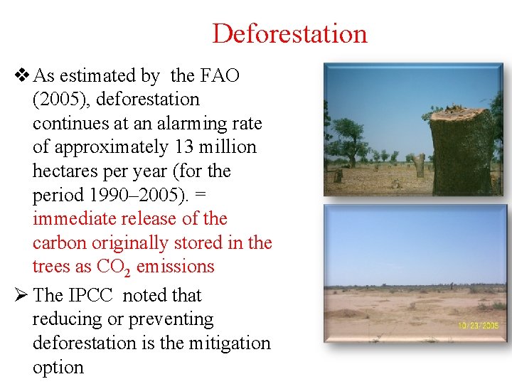 Deforestation v As estimated by the FAO (2005), deforestation continues at an alarming rate